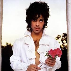 Meet your Posher, Ebony